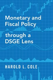 Monetary and Fiscal Policy through a DSGE Lens